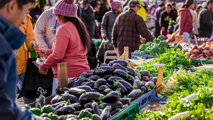 6 Ways to Celebrate Earth Day Every Day in Tāmaki Makaurau | Auckland ...