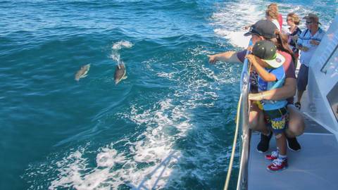 Whale Watching Tour Details | Auckland Whale And Dolphin Safari